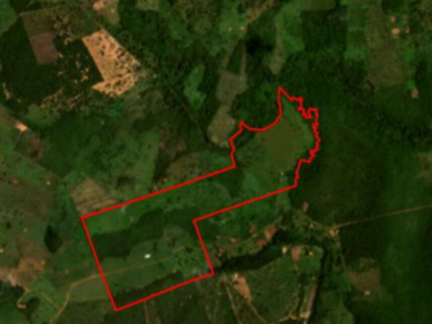 Imagem 3 do Leilão de Área Rural - Zona Rural - Estreito/MA