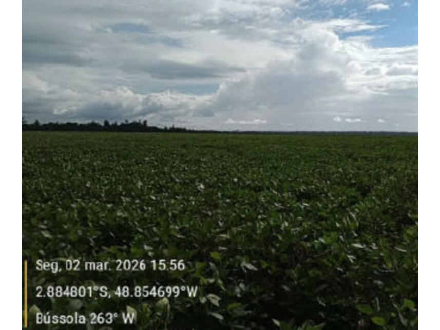 Imagem 10 do Leilão de Área Rural - Zona Rural - Tailândia/PA