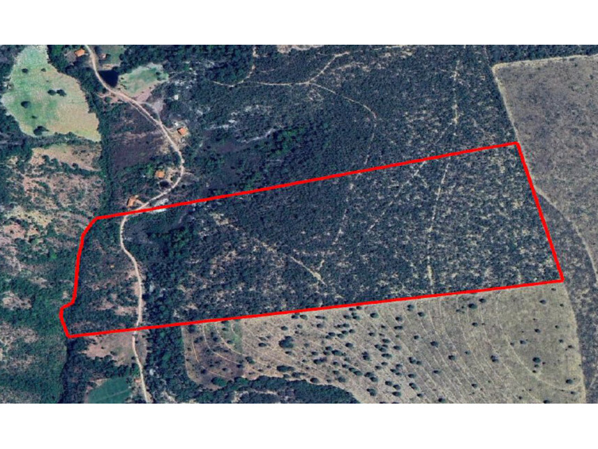 Imagem  do Leilão de Área Rural - Área Rural - João Pinheiro/MG