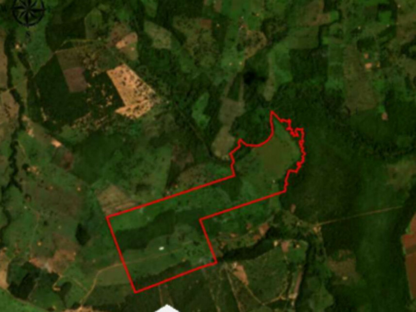 Imagem 3 do Leilão de Área Rural - Zona Rural - Estreito/MA