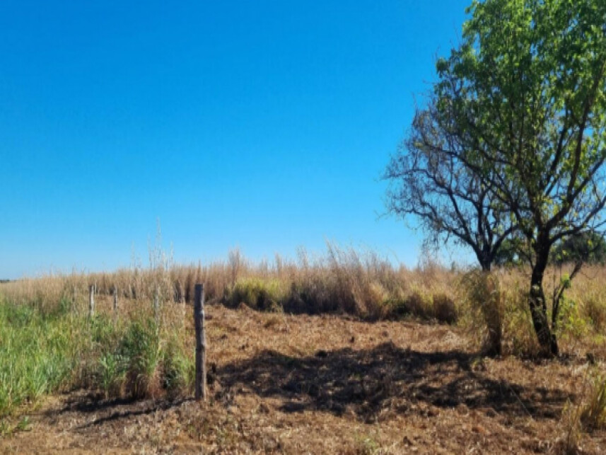 Imagem 1 do Leilão de Terreno - Polo de Fruticultura Irrigada São João - Porto Nacional/TO