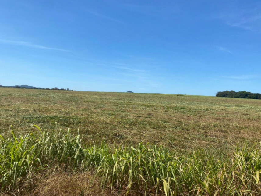 Imagem 2 do Leilão de Área Rural - Zona Rural - Fátima/TO