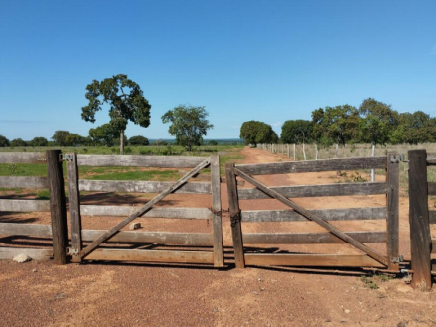 Imagem 2 do Leilão de Área Rural - Zona Rural - Pugmil/TO