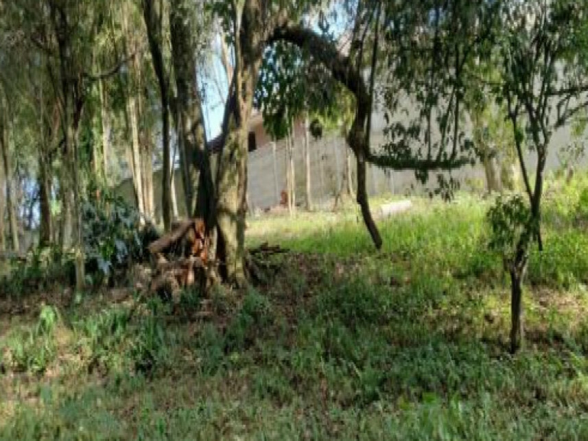 Imagem 7 do Leilão de Terreno - Colônia Santa Cândida - Curitiba/PR