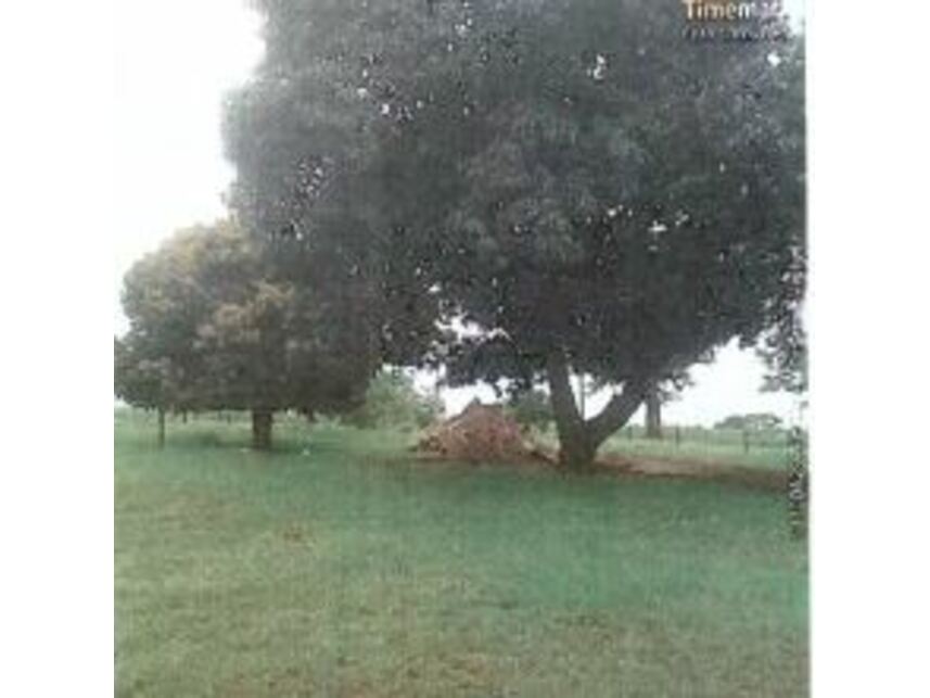 Imagem 5 do Leilão de Área Rural - Área rural - Andradina/SP