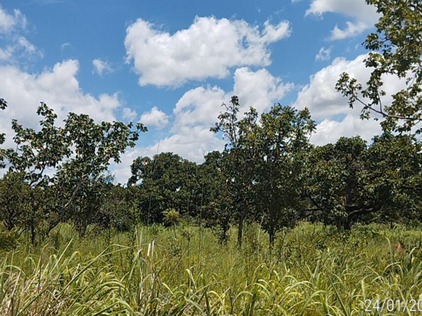 Imagem 2 do Leilão de Terreno - Chácaras Vera Cruz - Luiziânia/GO