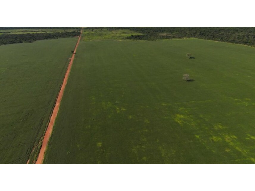 Imagem 12 do Leilão de Área Rural - Projeto Santaninha - Vila Rica/MT