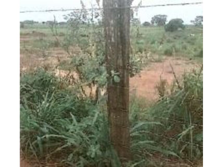 Imagem 6 do Leilão de Área Rural - Área rural - Andradina/SP