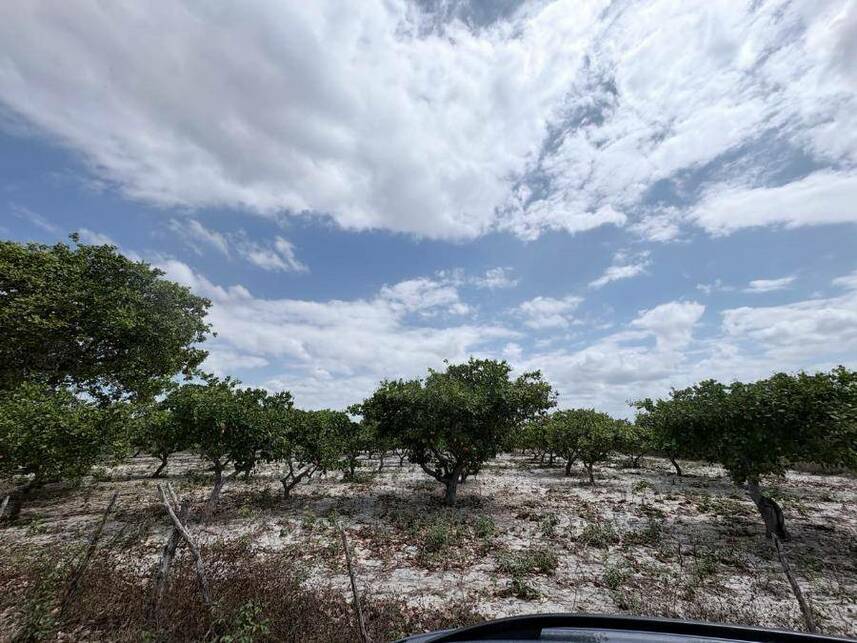 Imagem  do Leilão de Terreno - Tiririca - Pacajus/CE