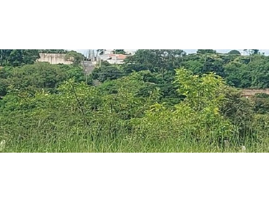 Imagem 4 do Leilão de Terreno - Jardim Alpino - Catanduva/SP