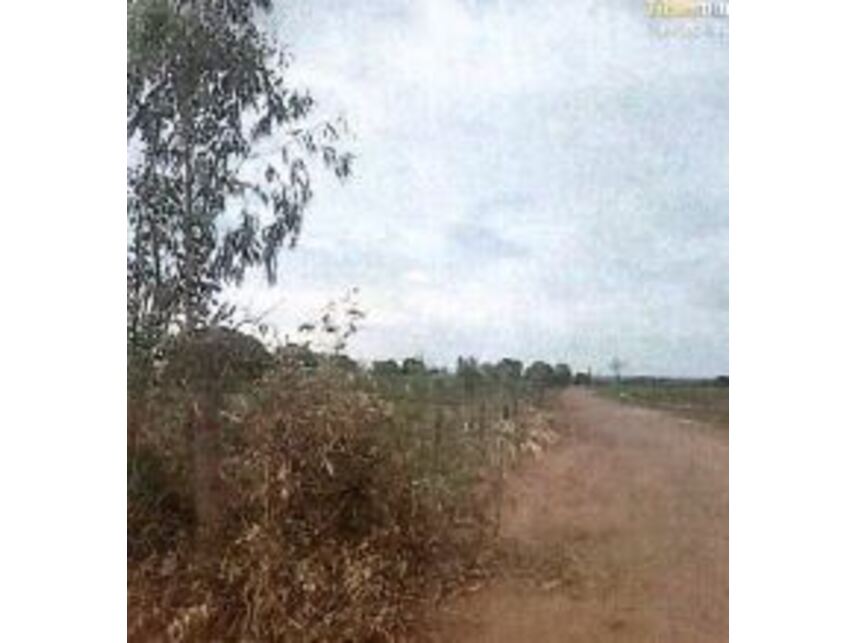 Imagem 2 do Leilão de Área Rural - Área rural - Andradina/SP
