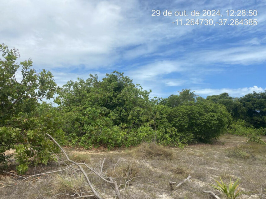 Imagem 1 do Leilão de Terreno - Loteamento Vila Rica do Abais - Itaporanga D\'Ajuda/SE