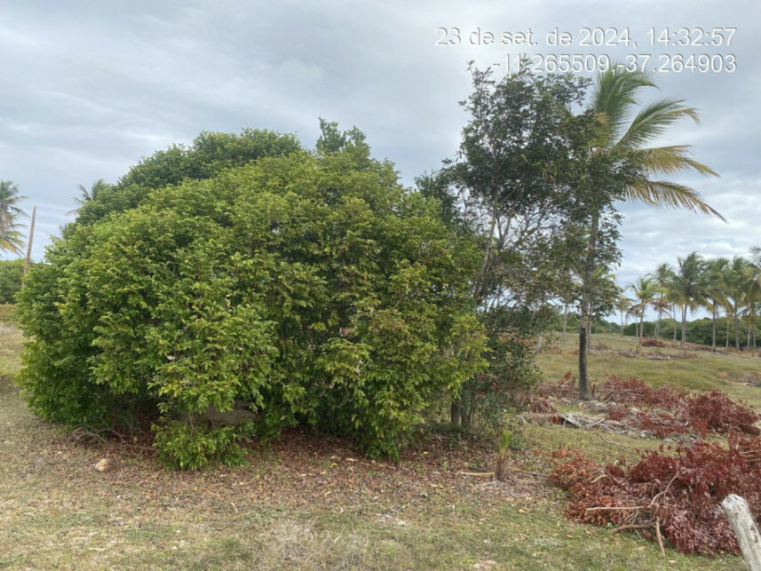 Imagem 2 do Leilão de Terreno - Loteamento Vila Rica do Abais - Itaporanga Dajuda/SE
