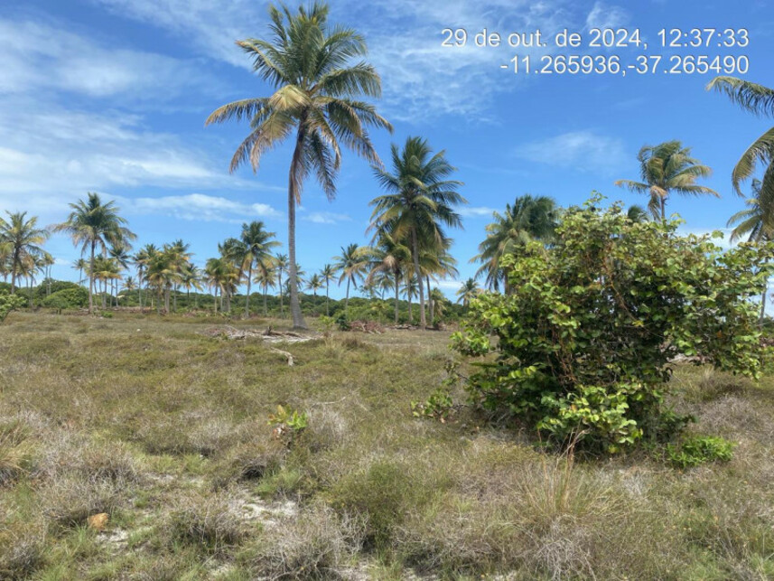 Imagem 2 do Leilão de Terreno - Loteamento Vila Rica do Abais - Itaporanga D\'Ajuda/SE
