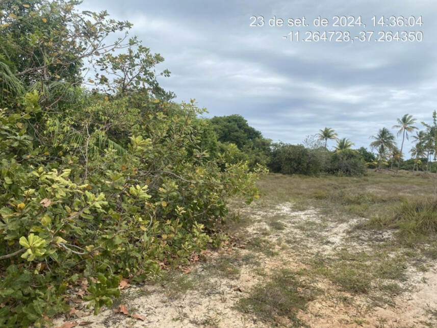 Imagem 2 do Leilão de Terreno - Loteamento Vila Rica do Abais - Itaporanga Dajuda/SE