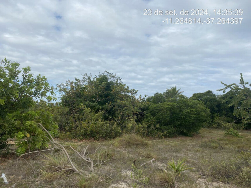 Imagem 2 do Leilão de Terreno - Loteamento Vila Rica do Abais - Itaporanga Dajuda/SE