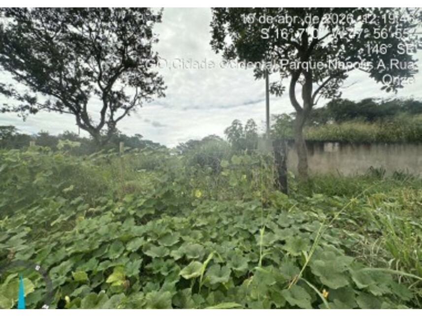 Imagem 5 do Leilão de Terreno - Parque Nápolis A - Cidade Ocidental/GO