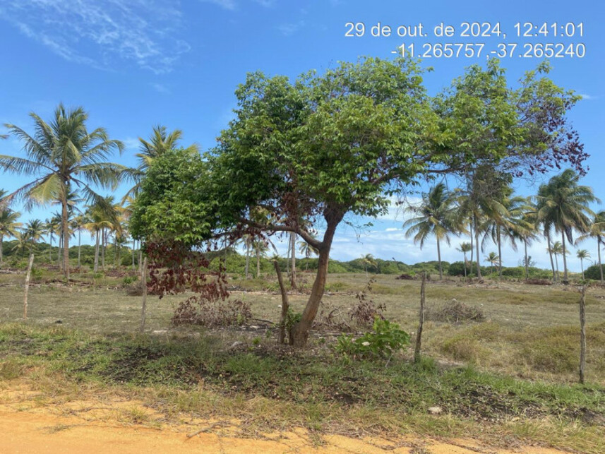 Imagem 2 do Leilão de Terreno - Loteamento Vila Rica do Abais - Itaporanga Dajuda/SE