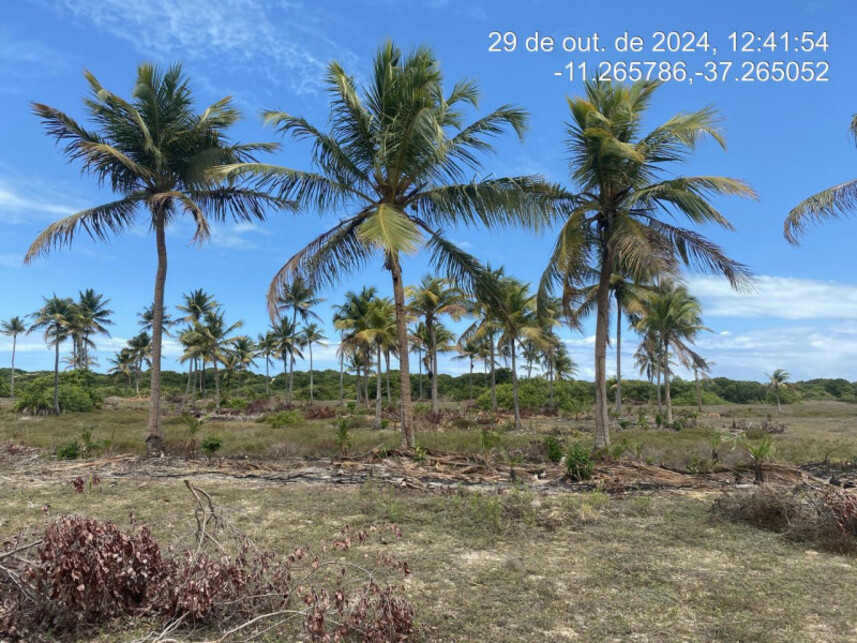Imagem 2 do Leilão de Terreno - Loteamento Vila Rica do Abais - Itaporanga D\'Ajuda/SE