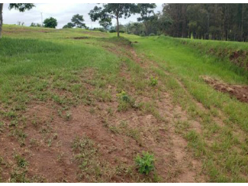 Imagem 6 do Leilão de Terreno - Terras de Santa Cristina - Paranapanema/SP