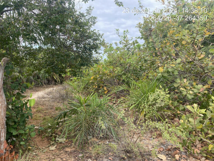 Imagem 2 do Leilão de Terreno - Loteamento Vila Rica do Abais - Itaporanga D\'Ajuda/SE