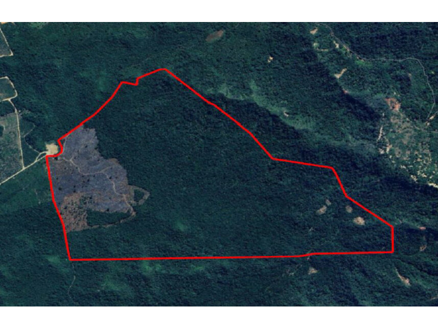 Imagem 1 do Leilão de Área Rural - Zona Rural - João Lisboa/MA