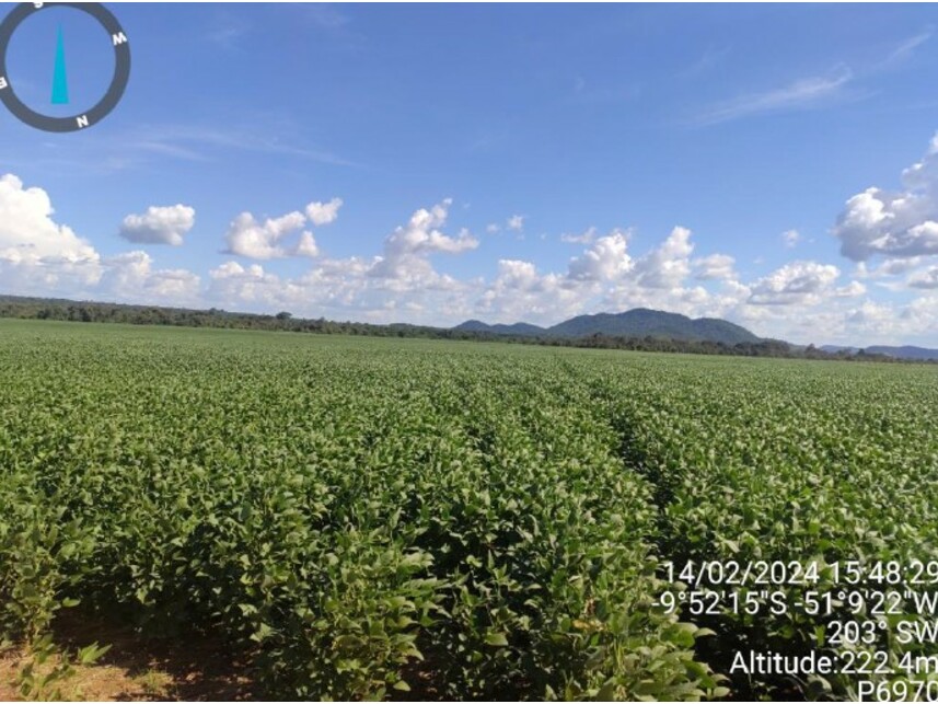 Imagem 6 do Leilão de Área Rural - Projeto Santaninha - Vila Rica/MT