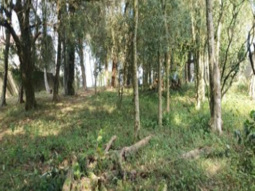 Imagem 8 do Leilão de Terreno - Colônia Santa Cândida - Curitiba/PR