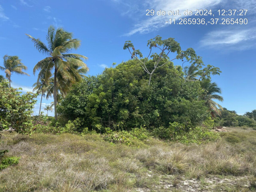 Imagem 2 do Leilão de Terreno - Loteamento Vila Rica do Abais - Itaporanga Dajuda/SE