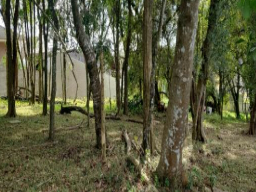 Imagem 6 do Leilão de Terreno - Colônia Santa Cândida - Curitiba/PR