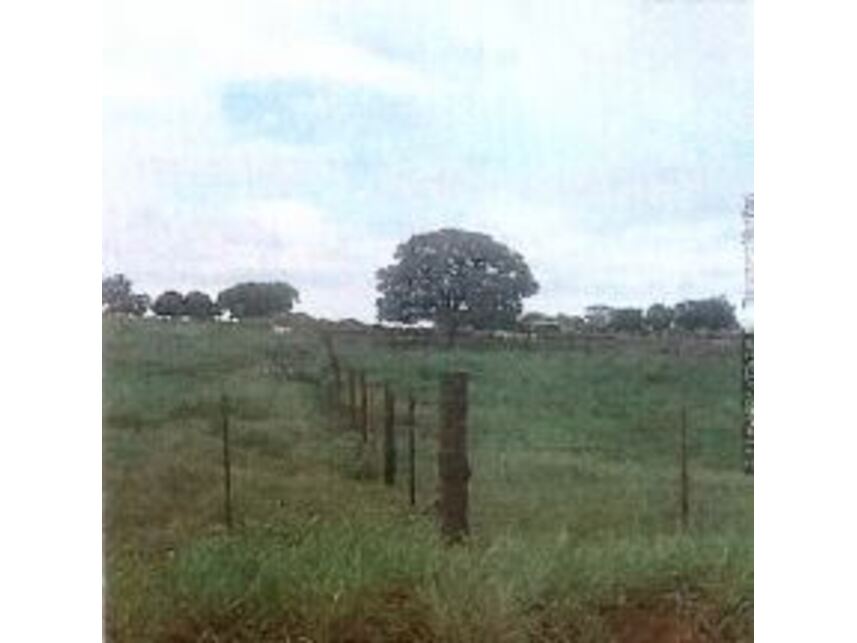 Imagem 4 do Leilão de Área Rural - Área rural - Andradina/SP