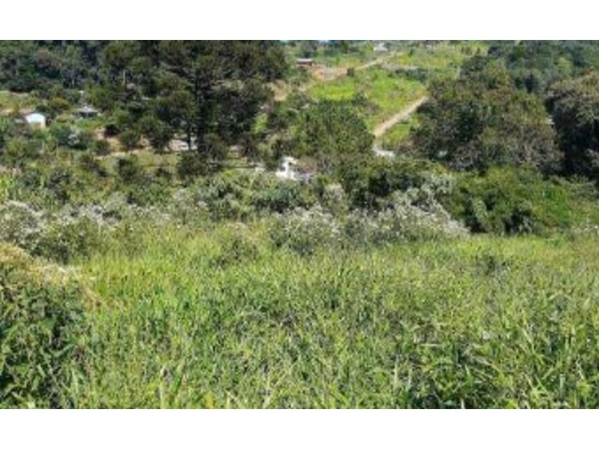 Imagem 3 do Leilão de Terreno - Centro - Ipirá/SC