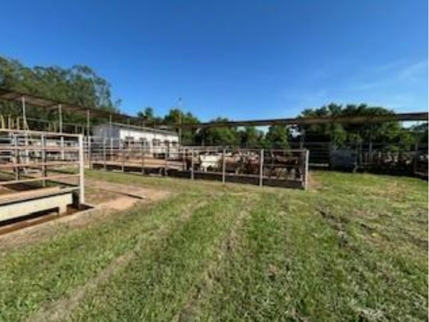 Imagem 23 do Leilão de Área Rural - Zona Rural - José Bonifácio/SP