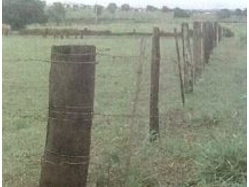 Imagem 7 do Leilão de Área Rural - Área rural - Andradina/SP