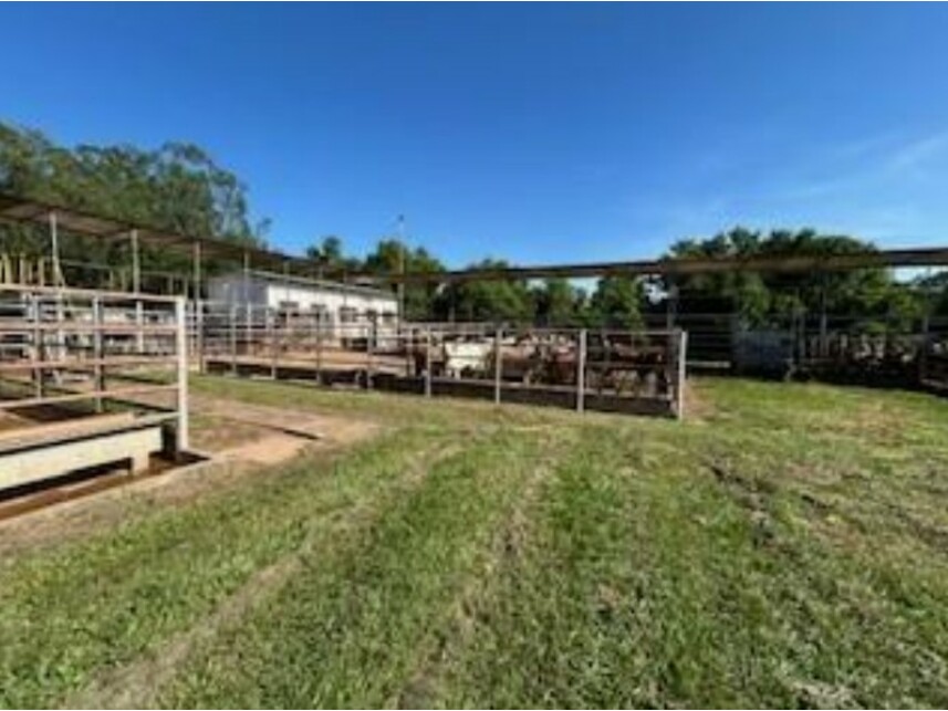 Imagem 2 do Leilão de Área Rural - Zona Rural - José Bonifácio/SP