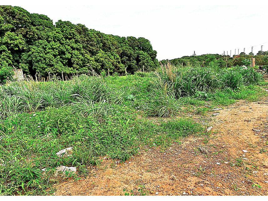 Imagem 2 do Leilão de Terrenos - Cidade Jardim - Canarana/MT