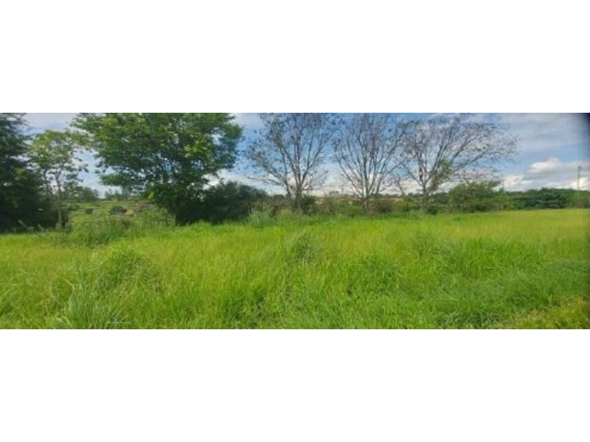 Imagem 5 do Leilão de Terreno - Jardim Alpino - Catanduva/SP