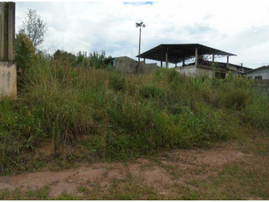 Imagem 2 do Leilão de Terreno - São Francisco de Assis - Paulo Frontin/PR