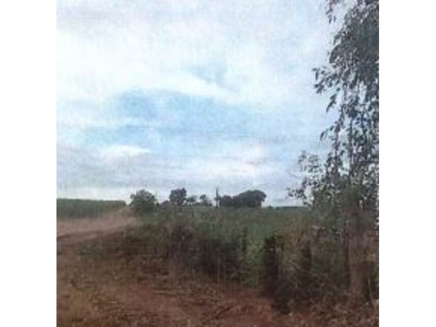 Imagem 3 do Leilão de Área Rural - Área rural - Andradina/SP