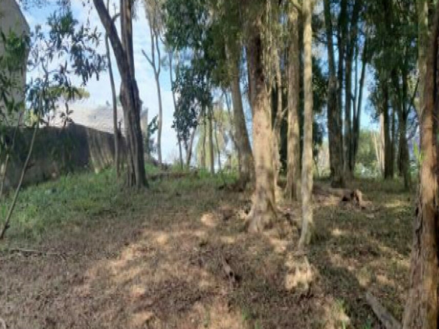 Imagem 9 do Leilão de Terreno - Colônia Santa Cândida - Curitiba/PR