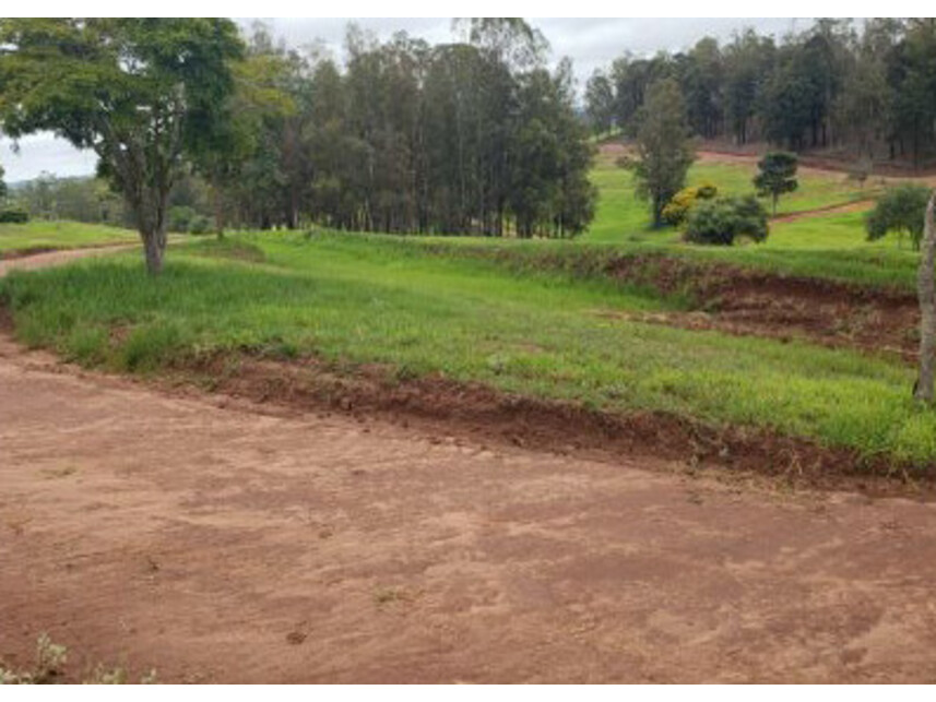 Imagem 4 do Leilão de Terreno - Terras de Santa Cristina - Paranapanema/SP