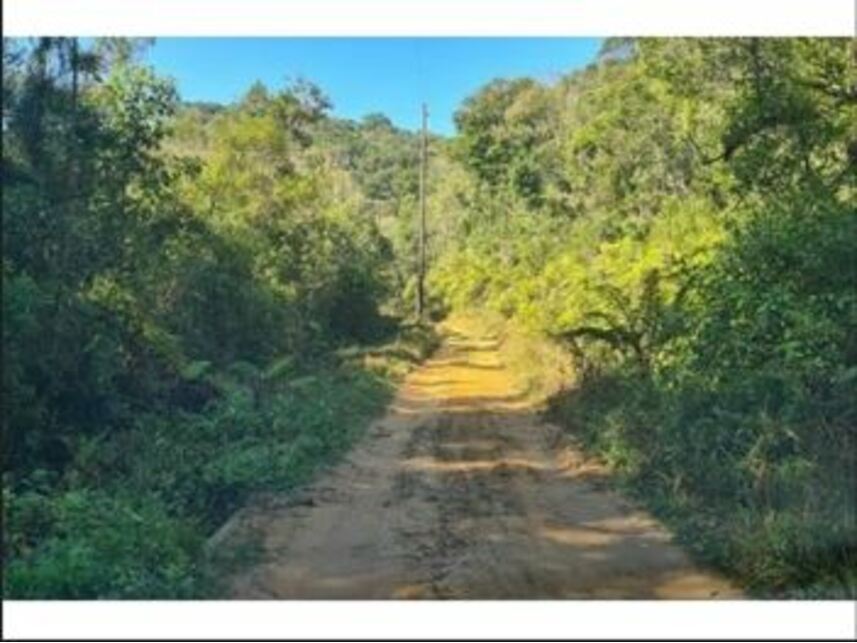 Imagem 2 do Leilão de Terreno - Estância Belvedere - Juquitiba/SP