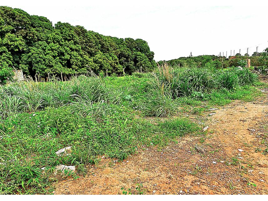 Imagem 2 do Leilão de Terrenos - Cidade Jardim - Canarana/MT