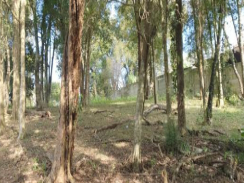 Imagem 5 do Leilão de Terreno - Colônia Santa Cândida - Curitiba/PR