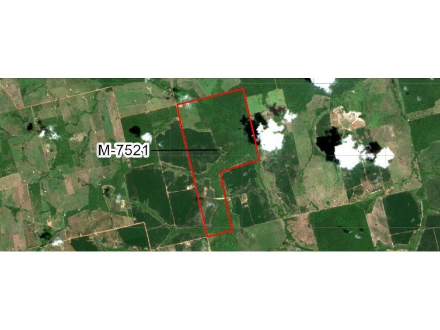 Imagem 1 do Leilão de Área Rural - Projeto Santaninha - Vila Rica/MT