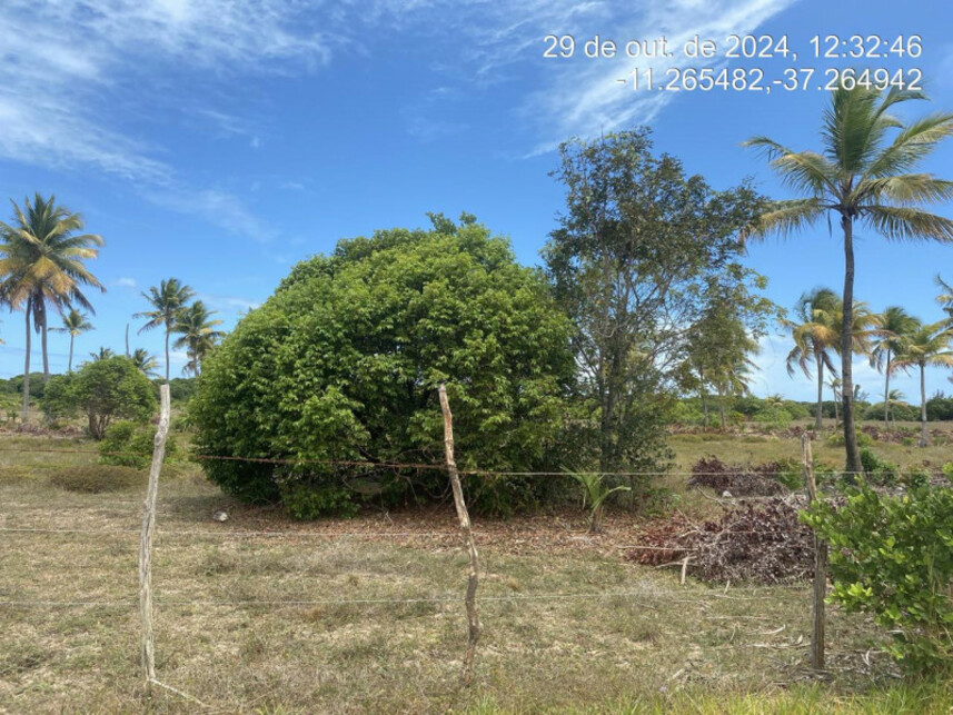 Imagem 2 do Leilão de Terreno - Loteamento Vila Rica do Abais - Itaporanga Dajuda/SE