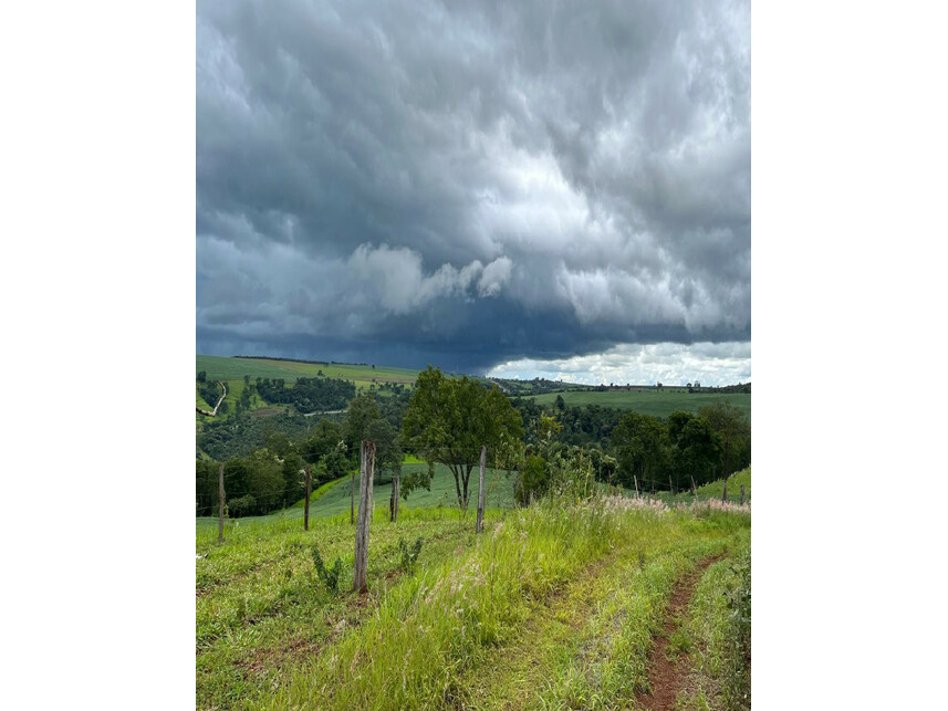 Imagem 4 do Leilão de Área Rural - Zona Rural - Araguari/MG