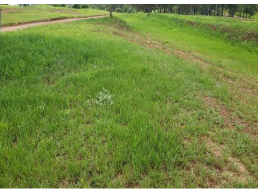 Imagem 5 do Leilão de Terreno - Terras de Santa Cristina - Paranapanema/SP