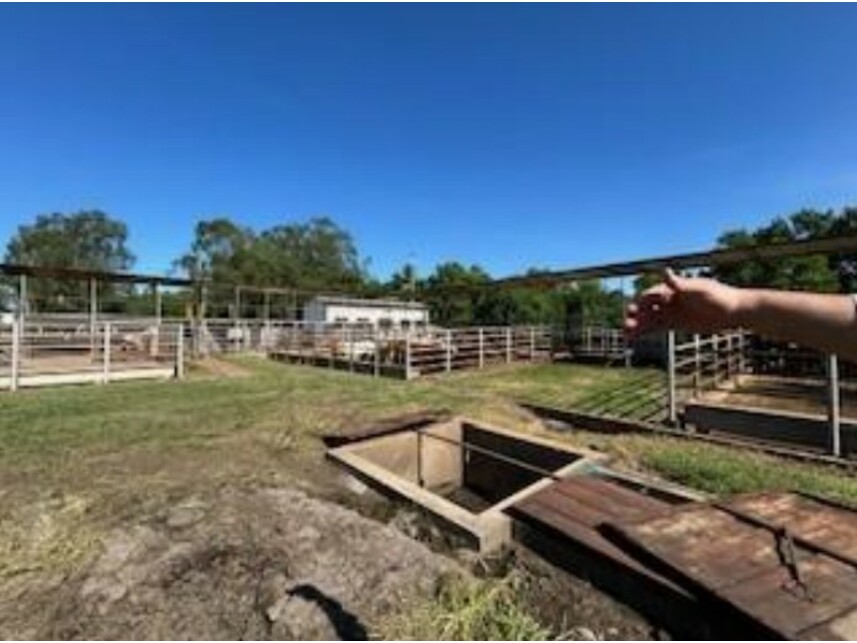 Imagem 4 do Leilão de Área Rural - Zona Rural - José Bonifácio/SP