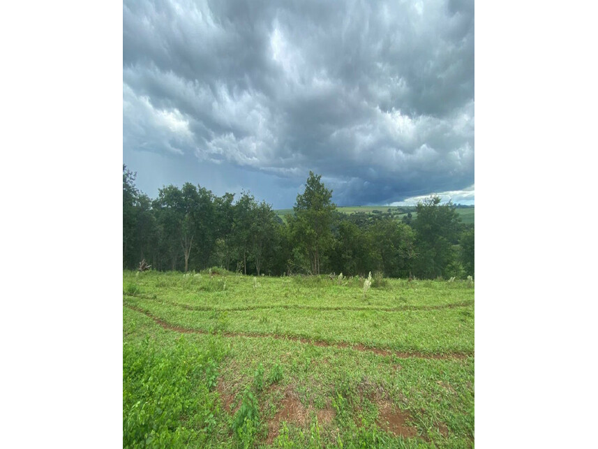 Imagem 7 do Leilão de Área Rural - Zona Rural - Araguari/MG